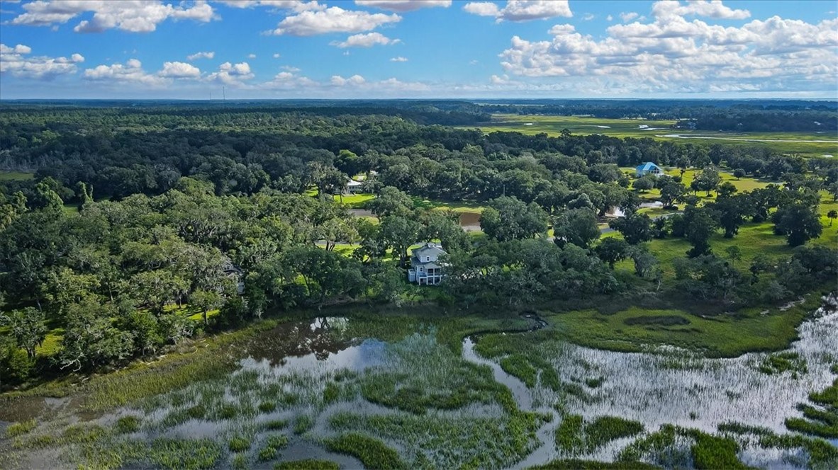 3217 Coopers Point Drive Northeast Townsend, GA 31331 - Photo 4 of 97