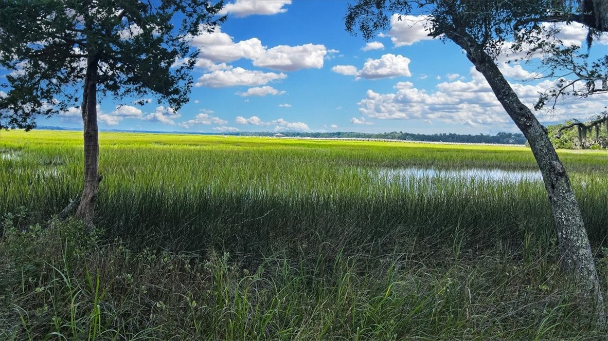 3217 Coopers Point Drive Northeast Townsend, GA 31331 - Photo 6 of 97