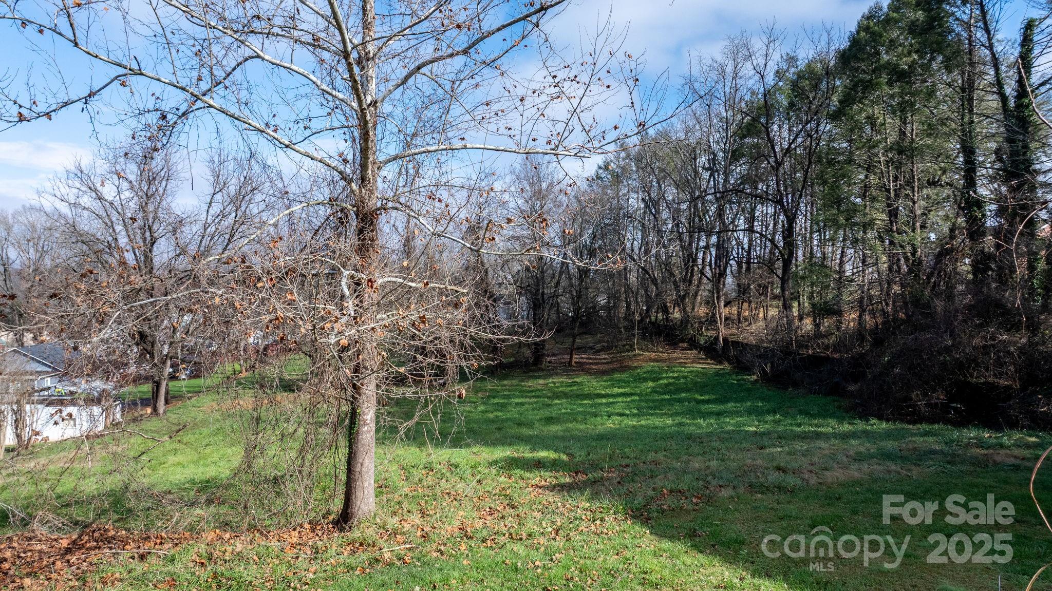335 Eastview Street Morganton, NC 28655 - Photo 10 of 34 a view of a yard with a tree