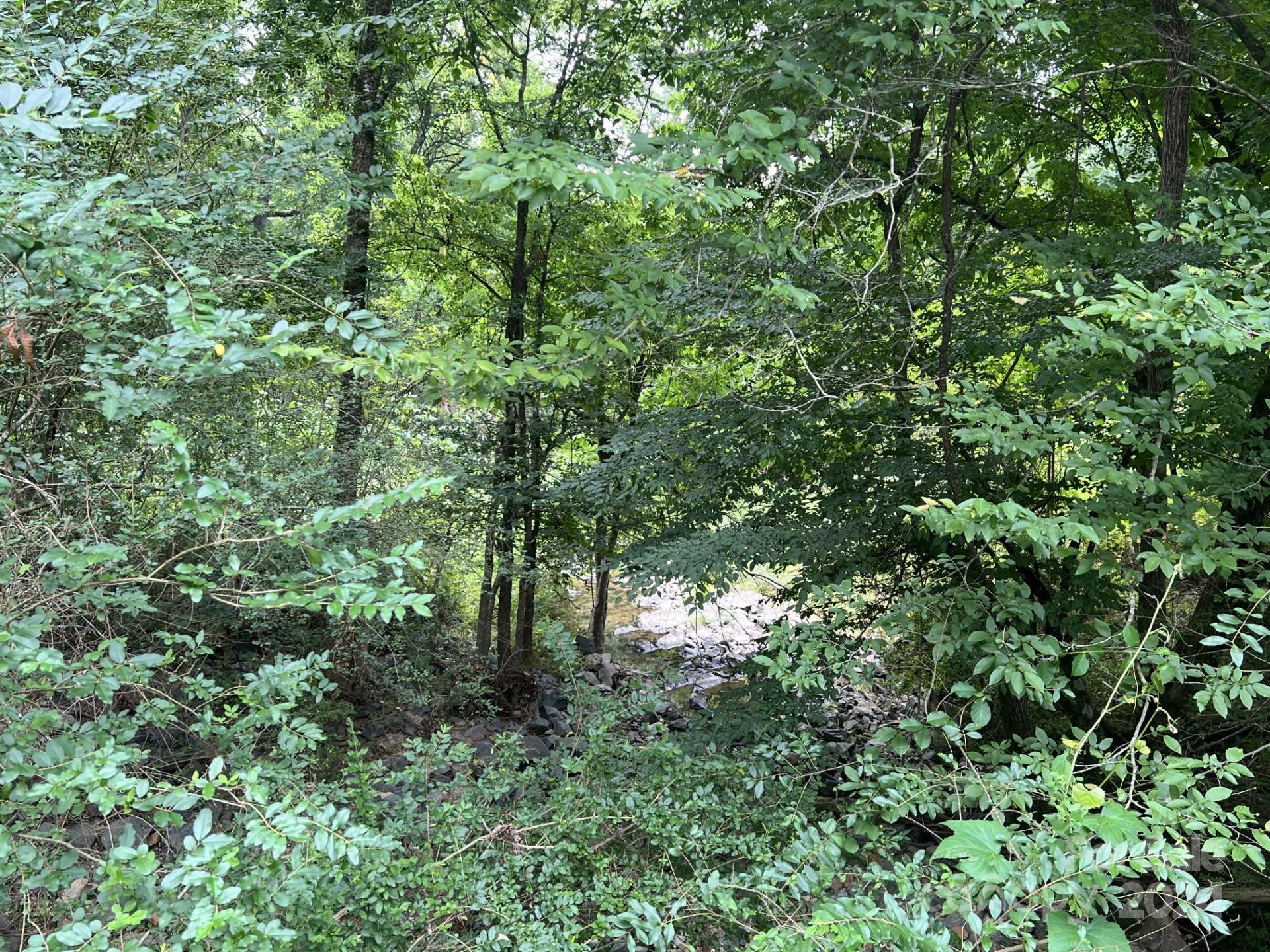 0 Cottonville Road Norwood, NC 28128 - Photo 5 of 8 a view of a lush green forest