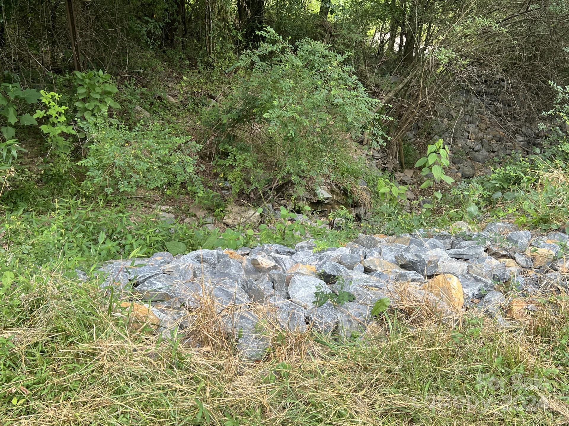 0 Cottonville Road Norwood, NC 28128 - Photo 6 of 8 a view of a yard with plants and large trees