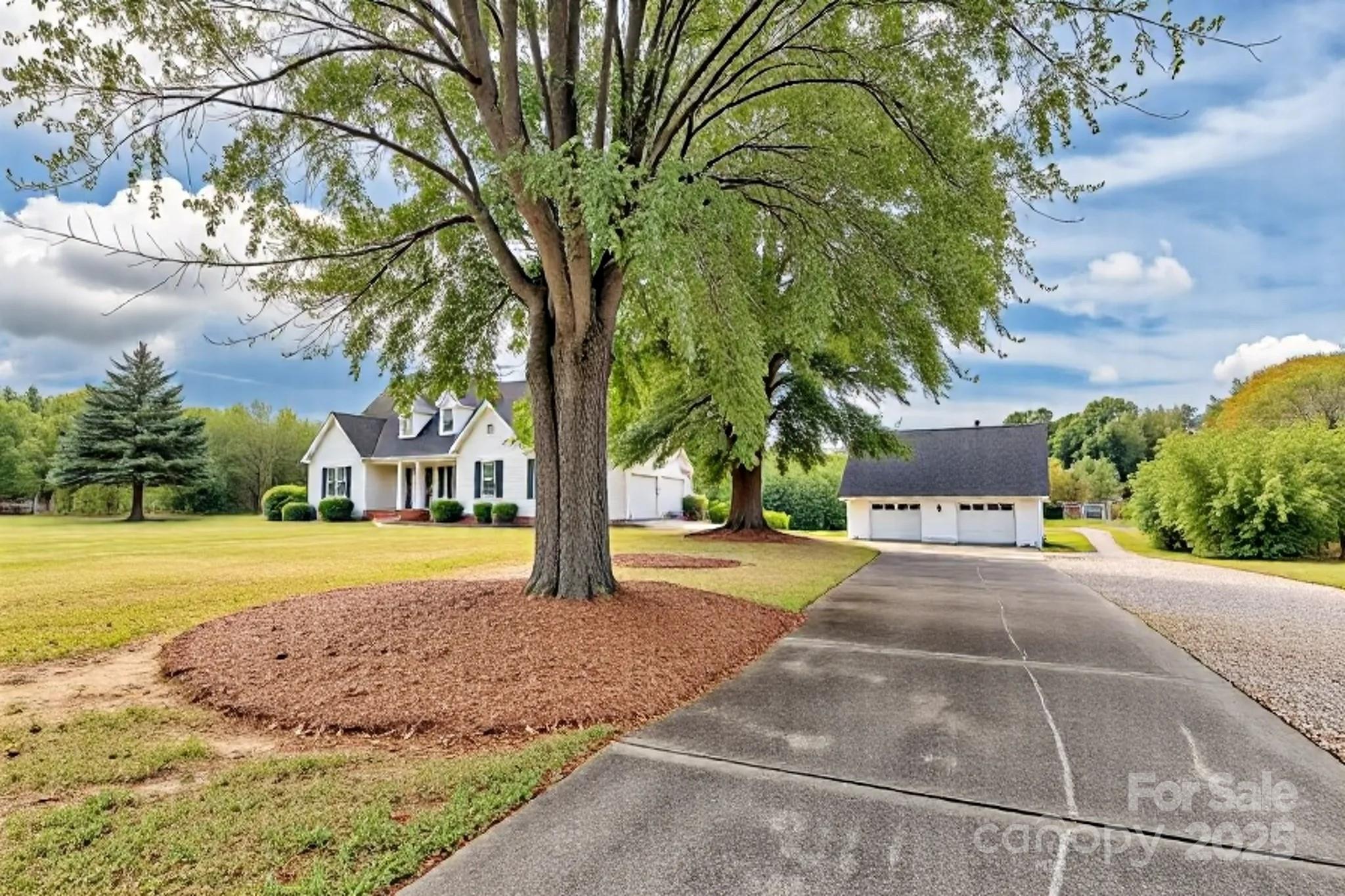 176 Griffin Road Pageland, SC 29728 - Photo 46 of 46 a view of a yard with plants and trees