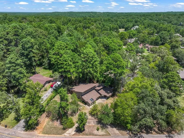 a view of a yard with plants and large trees
