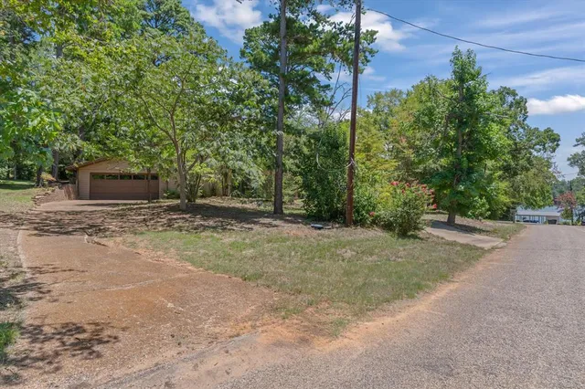 a view of a backyard with trees