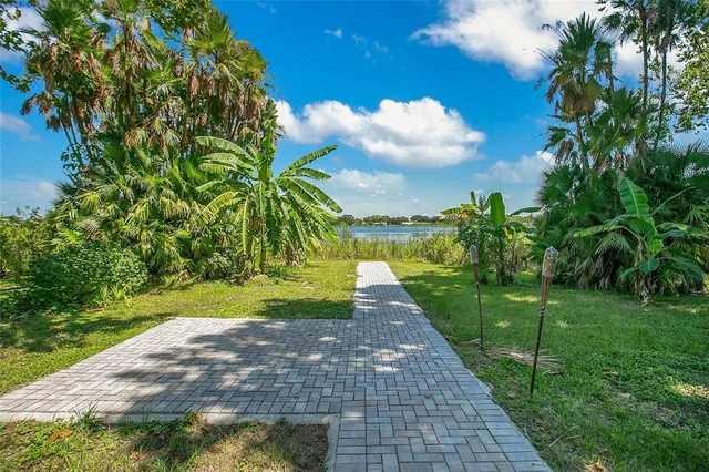 a view of a yard with plants