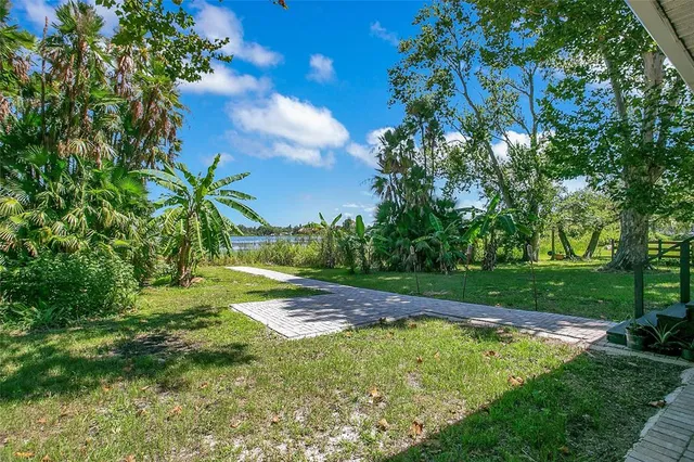 a view of a yard with plants and large trees