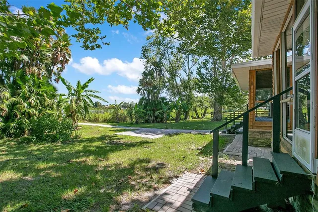 a view of a yard with plants