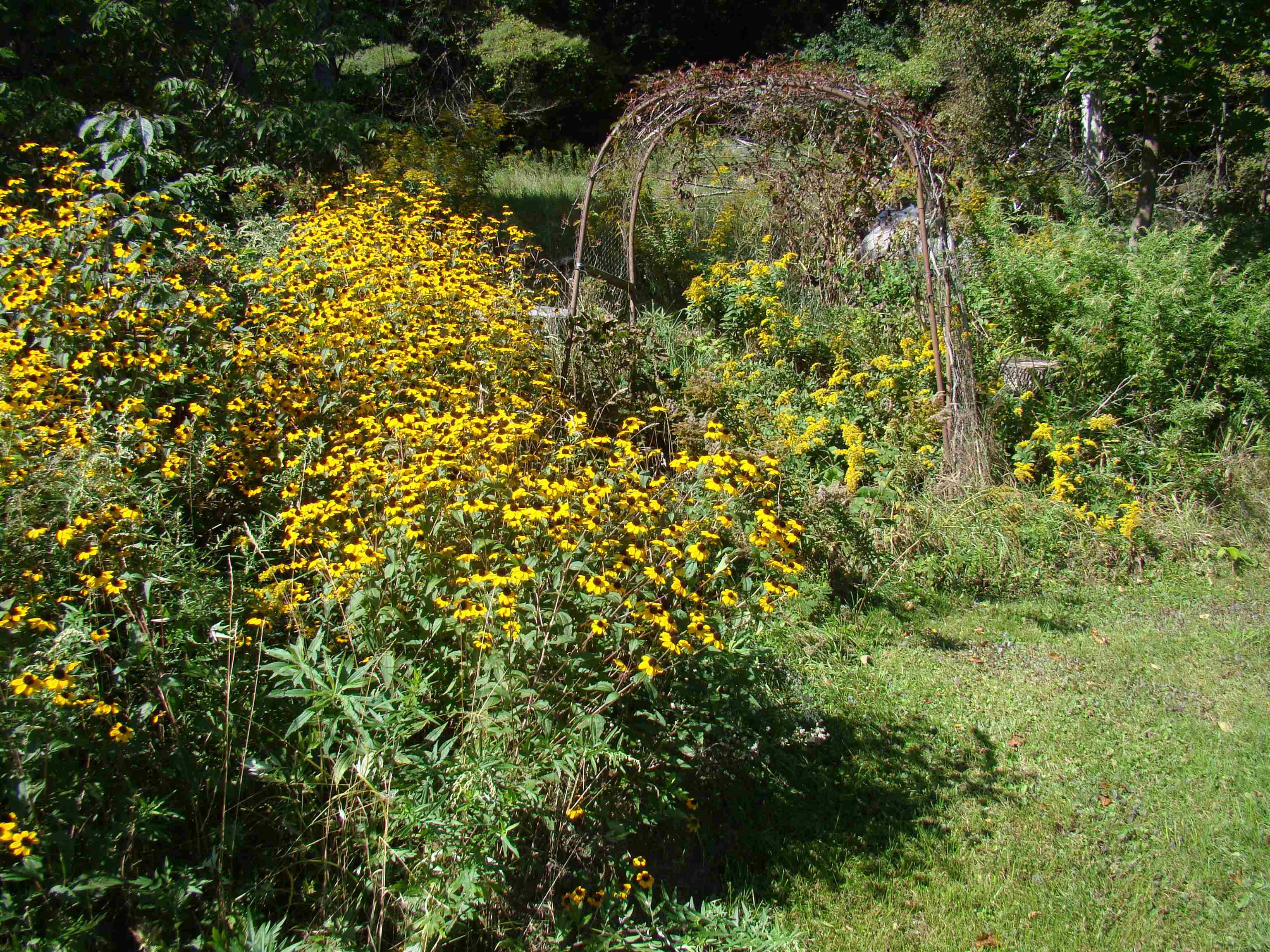 147 Morgan Road Tinmouth, VT 05777 - Photo 27 of 38