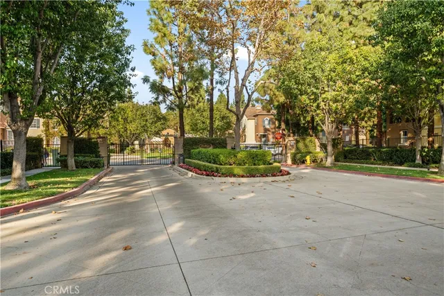 a view of road and trees