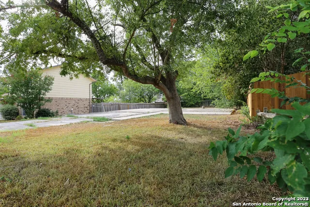 a view of backyard with tree