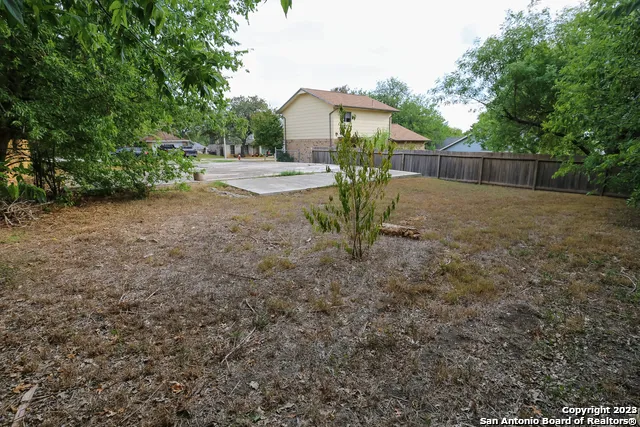a view of a small yard in front of a house with large tree