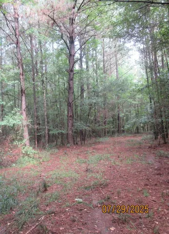 $323,125 | 0 Hardy Williams Road, Pinola, MS 39149