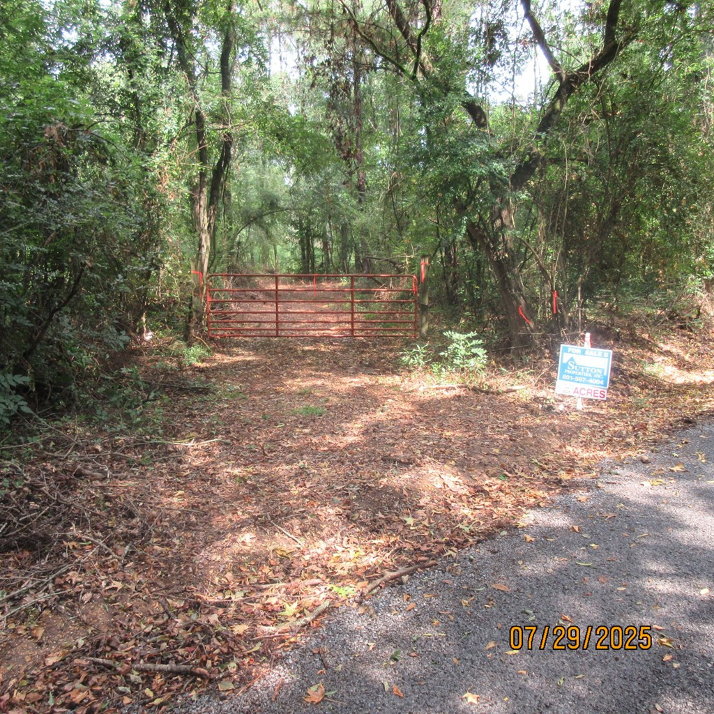 0 Hardy Williams Road Pinola, MS 39149 - Photo 2 of 11 Photo 2