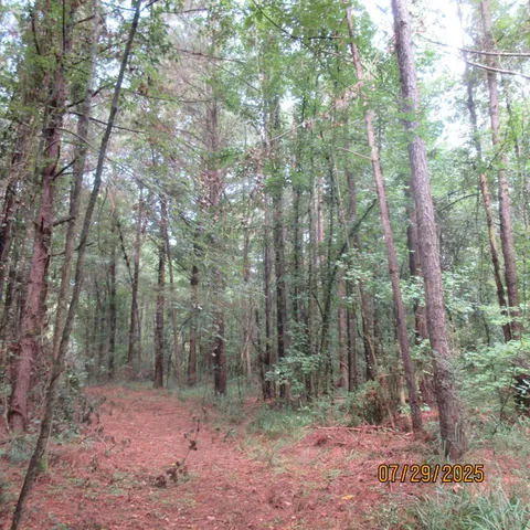 $323,125 | 0 Hardy Williams Road, Pinola, MS 39149