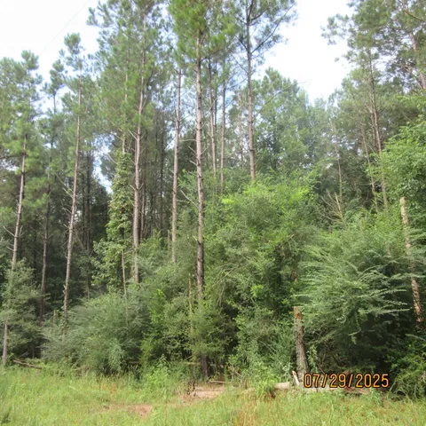 $323,125 | 0 Hardy Williams Road, Pinola, MS 39149