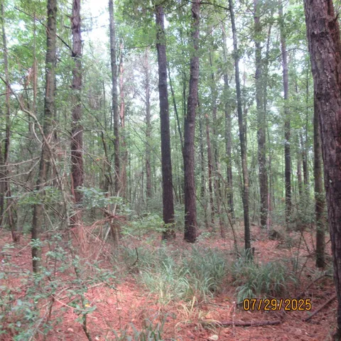 $323,125 | 0 Hardy Williams Road, Pinola, MS 39149