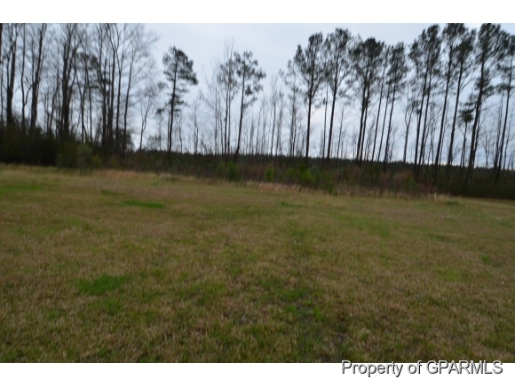 2958 Clemmons School Road Stokes, NC 27884 - Photo 4 of 19 Additional Photo