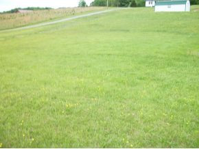 Over 12 Acre Sloping Lot
