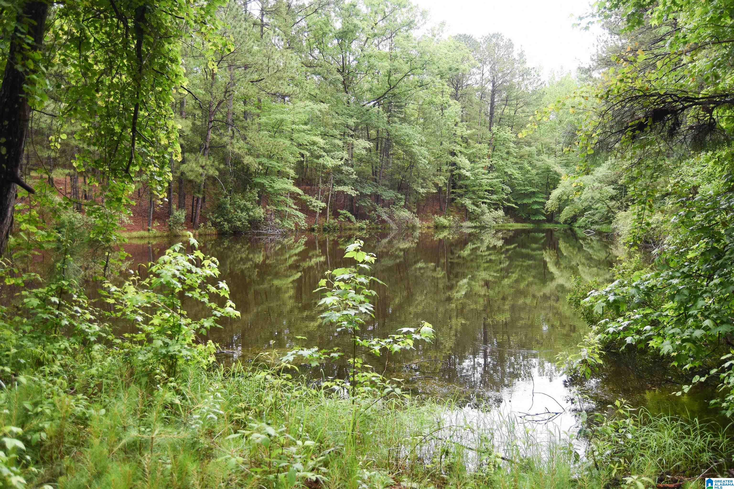 2488 Louina Road Roanoke, AL 36274 - Photo 63 of 97