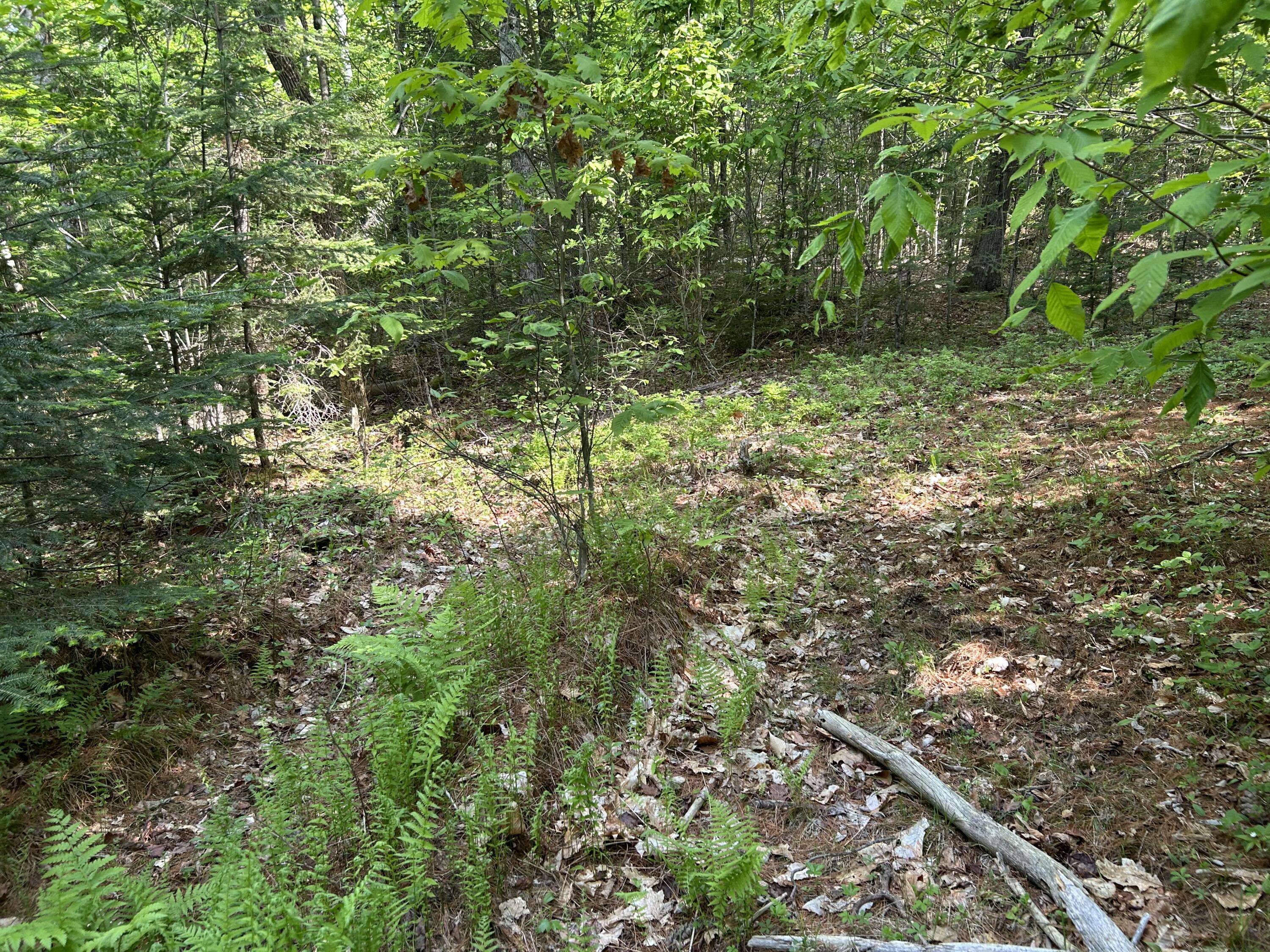 M5-l13 Clark Road Prospect, ME 04981 - Photo 6 of 33 IMG_8800