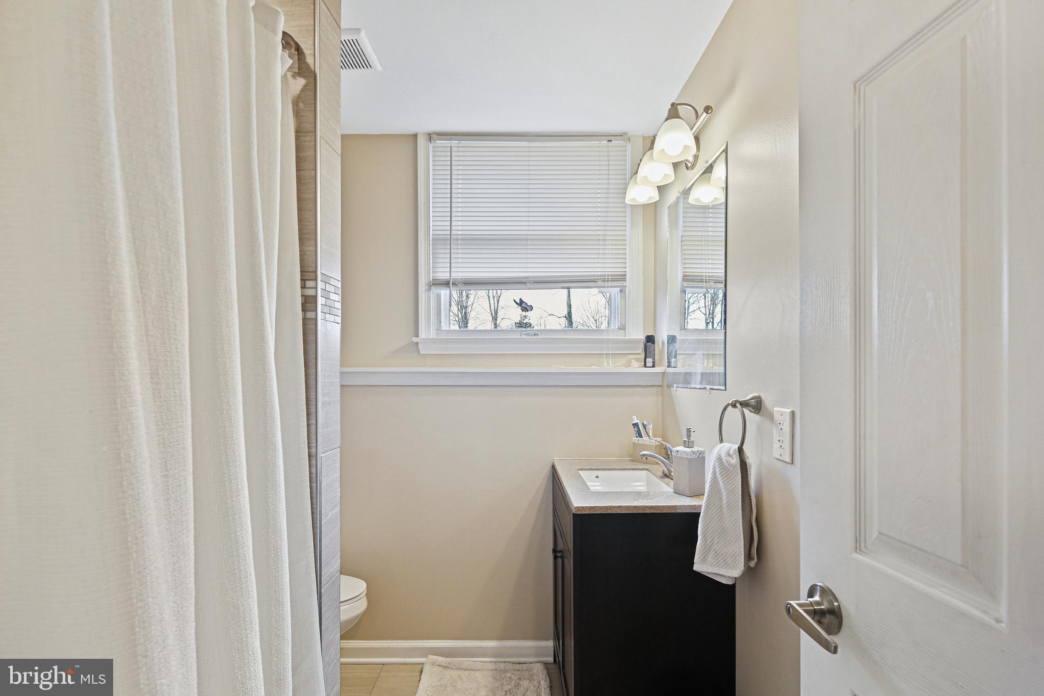 233 Bynum Ridge Road Forest Hill, MD 21050 - Photo 21 of 33 Updated Full Lower Level Bath