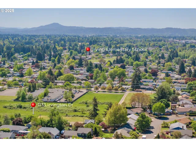 a view of a city with mountains in the background