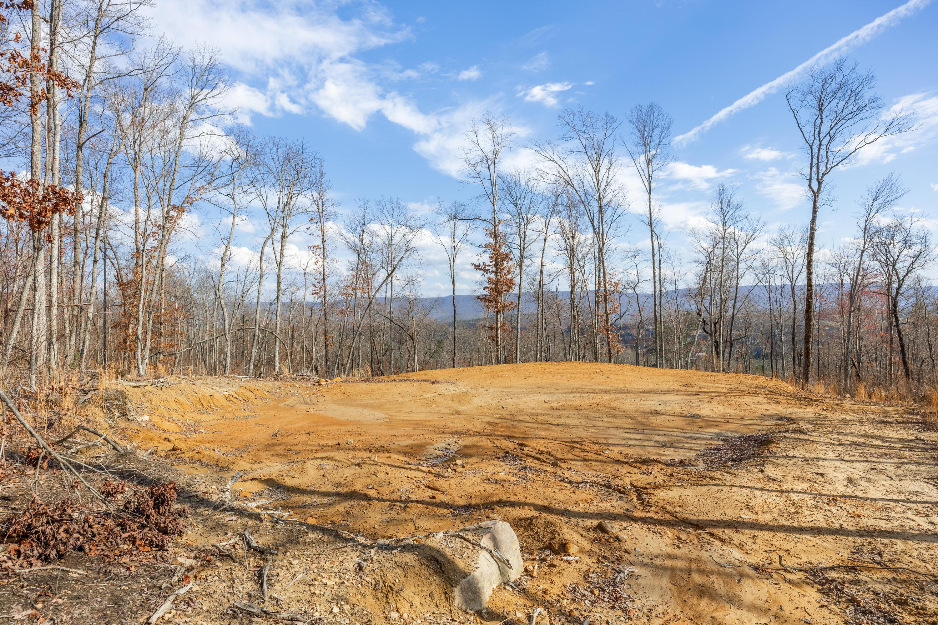 0 Lee Station Mountain Road, Unit TRACT 90 Pikeville, TN 37367 - Photo 13 of 31 2025_03_March_0_Bench_Rd_0005