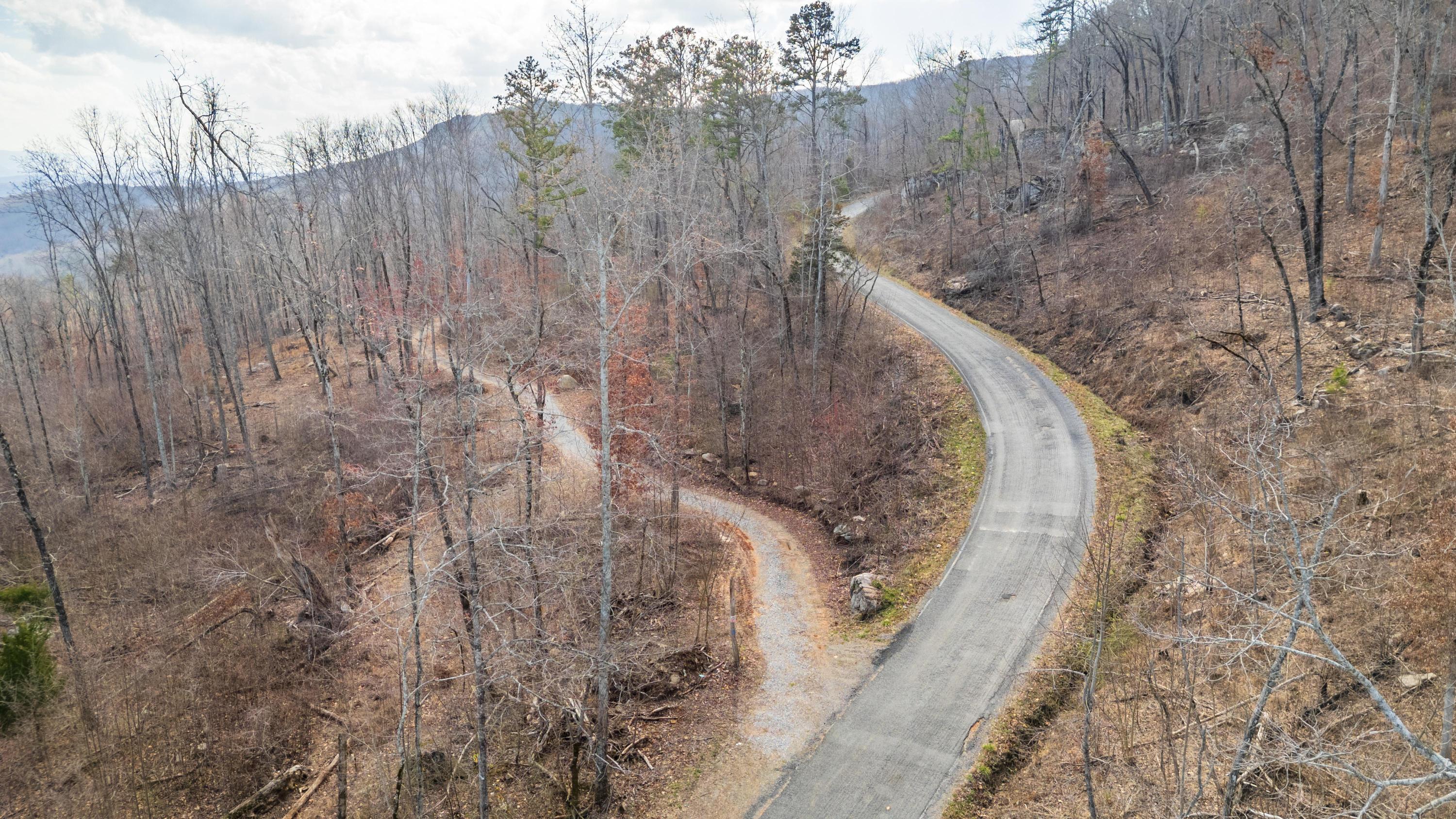 0 Lee Station Mountain Road, Unit TRACT 90 Pikeville, TN 37367 - Photo 15 of 31 2025_03_March_0_Bench_Rd_0012