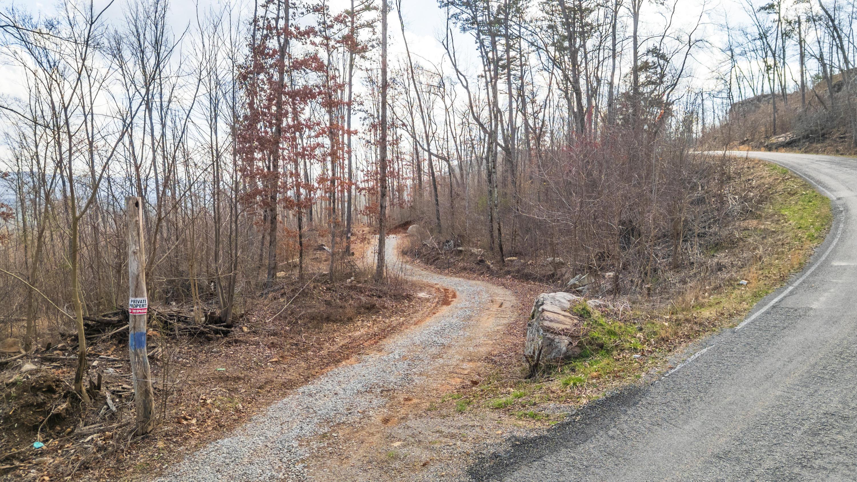 0 Lee Station Mountain Road, Unit TRACT 90 Pikeville, TN 37367 - Photo 16 of 31 2025_03_March_0_Bench_Rd_0013
