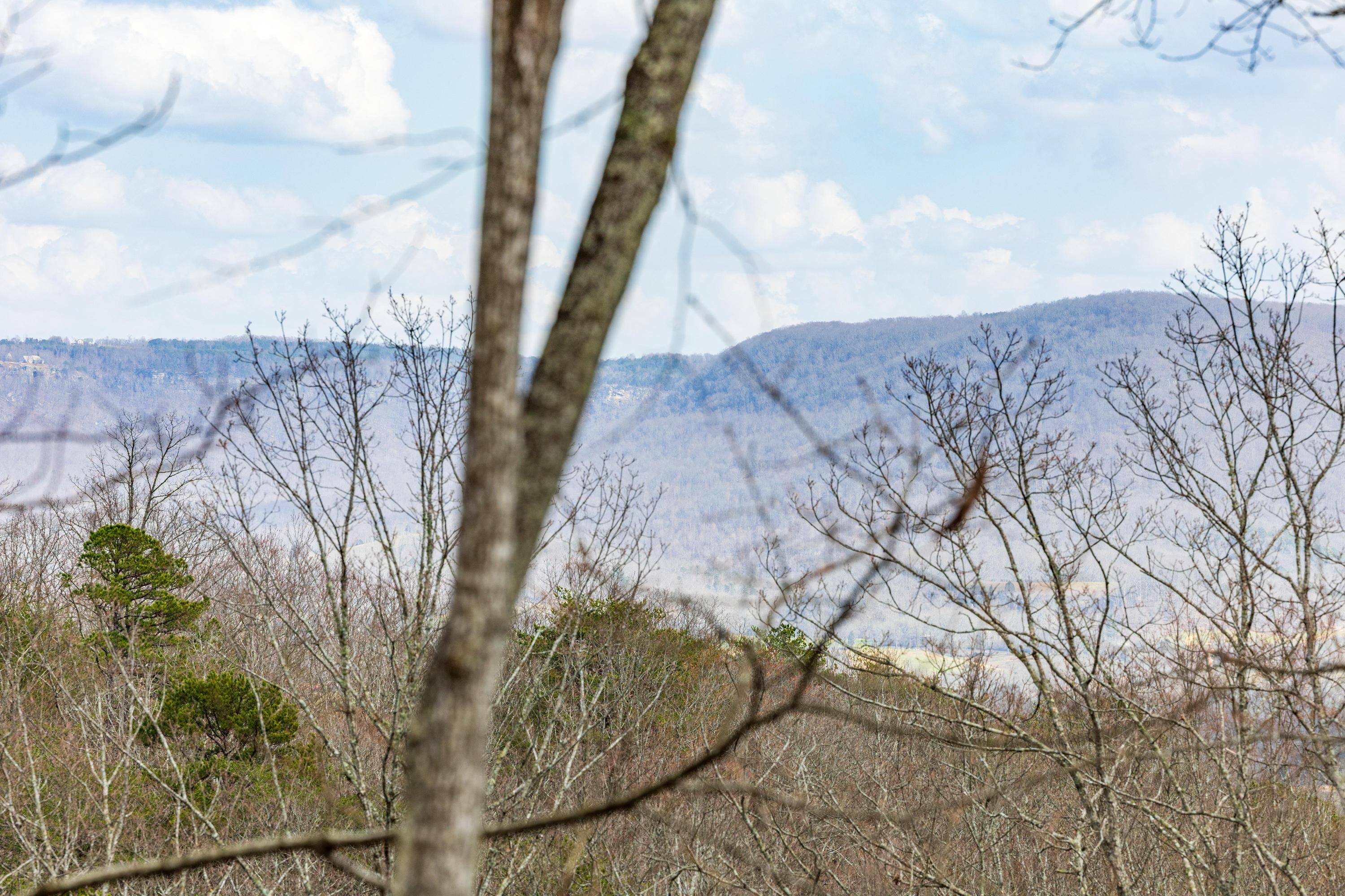0 Lee Station Mountain Road, Unit TRACT 90 Pikeville, TN 37367 - Photo 21 of 31 2025_03_March_0_Bench_Rd_0019