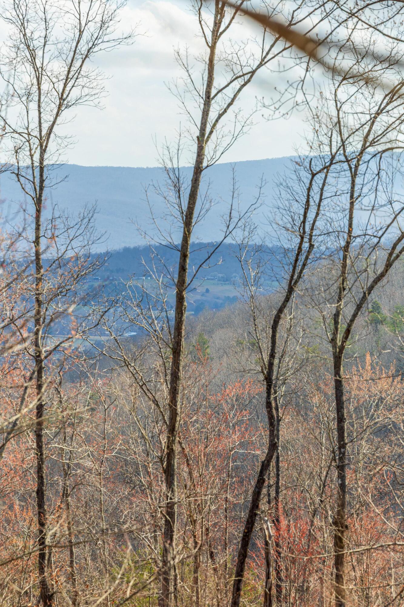 0 Lee Station Mountain Road, Unit TRACT 90 Pikeville, TN 37367 - Photo 25 of 31 2025_03_March_0_Bench_Rd_0023