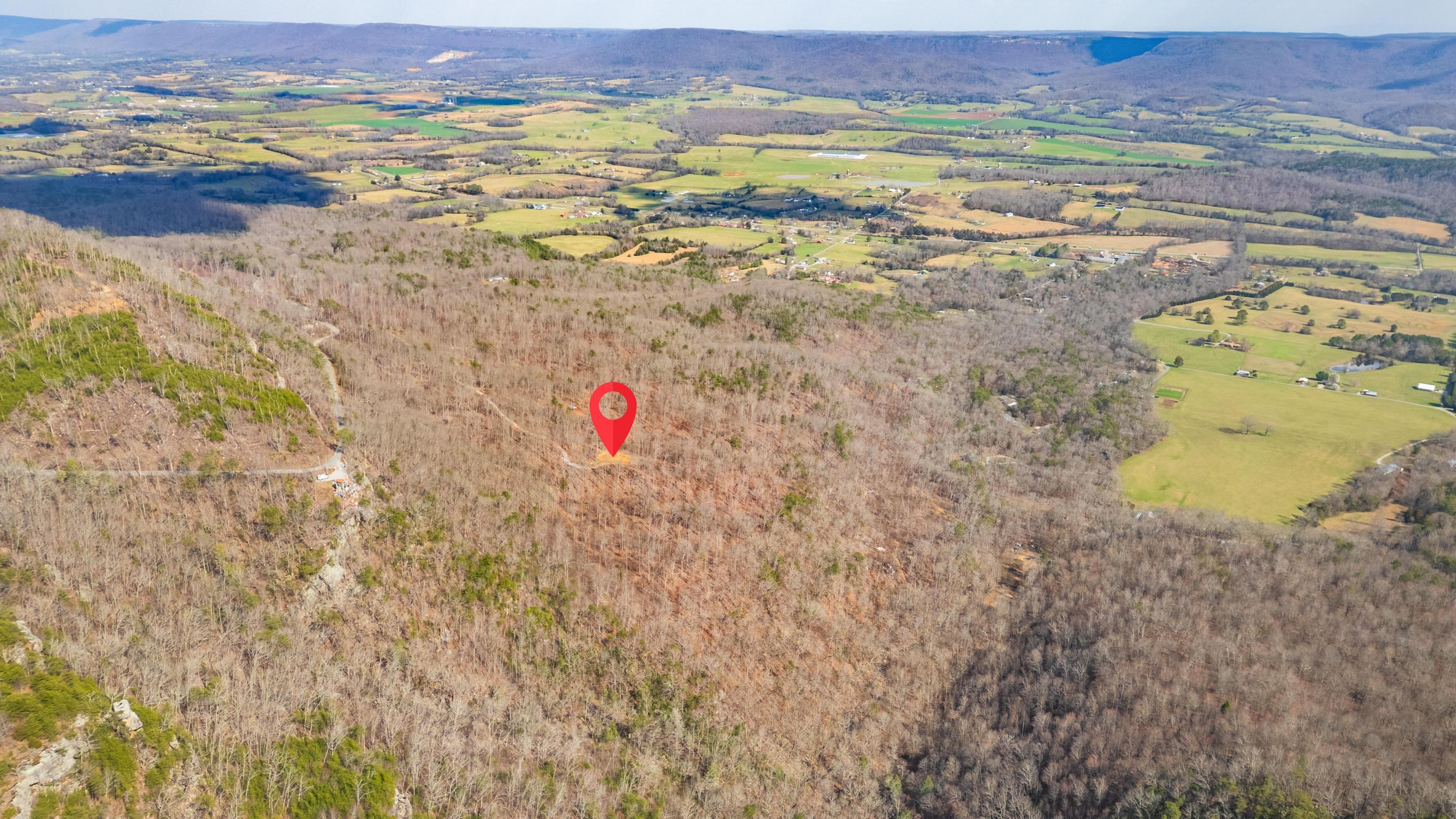 0 Lee Station Mountain Road, Unit TRACT 90 Pikeville, TN 37367 - Photo 28 of 31 2025_03_March_0_Bench_Rd_0026