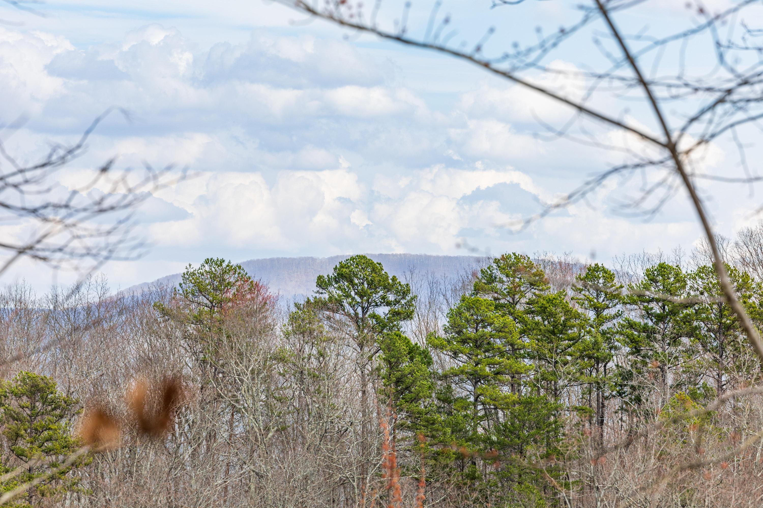 0 Lee Station Mountain Road, Unit TRACT 90 Pikeville, TN 37367 - Photo 8 of 31 2025_03_March_0_Bench_Rd_0018
