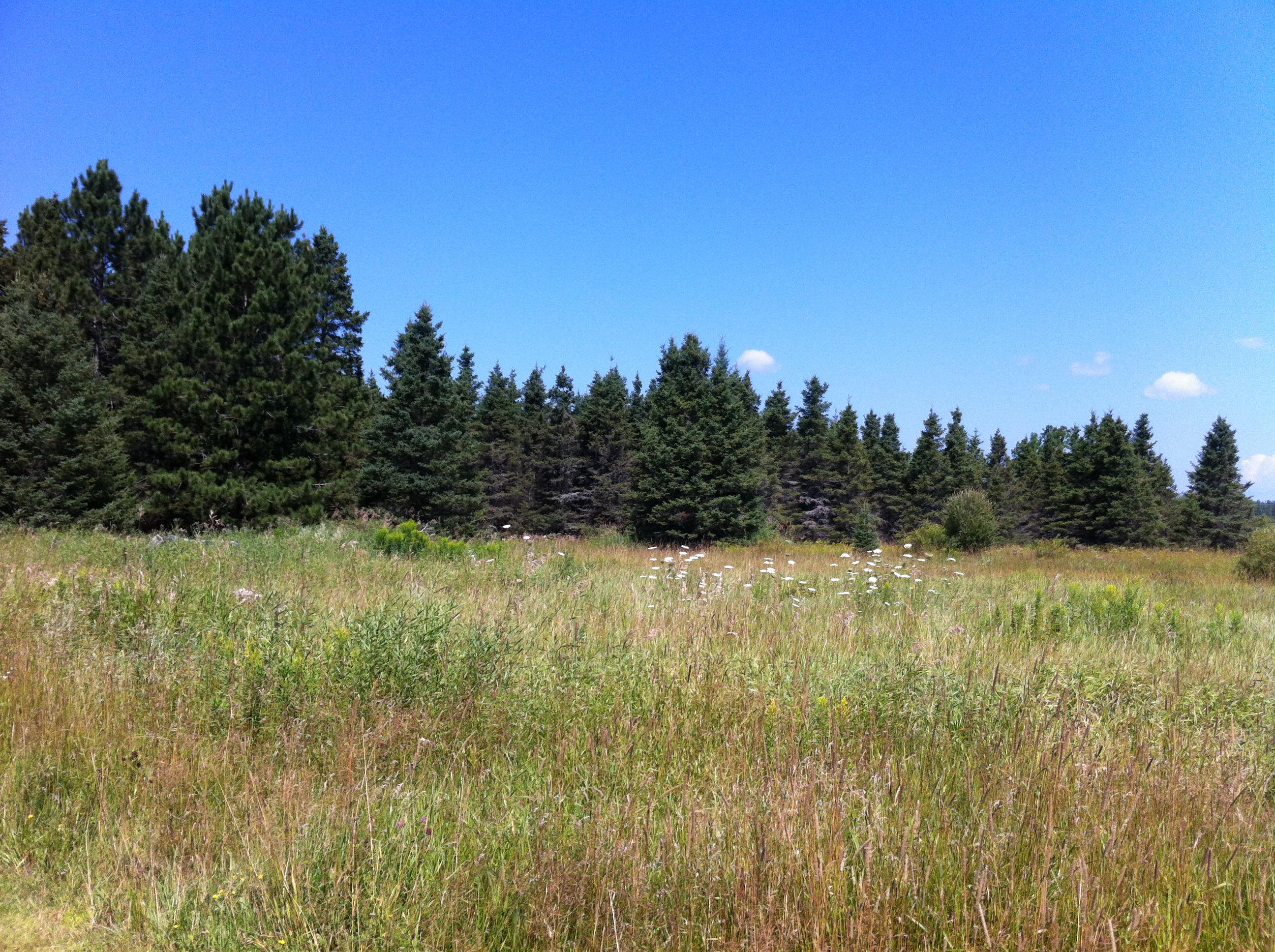 22140 South McCabe Road Pickford, MI 49774 - Photo 4 of 19 Gallery Image 4