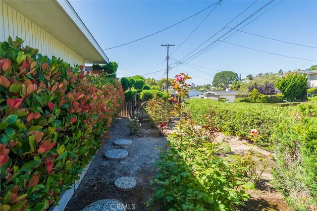 a view of a garden with plants