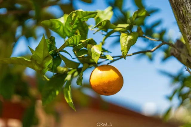 $7,000 | 28603 Cedarbluff Drive, Rancho Palos Verdes, CA 90275