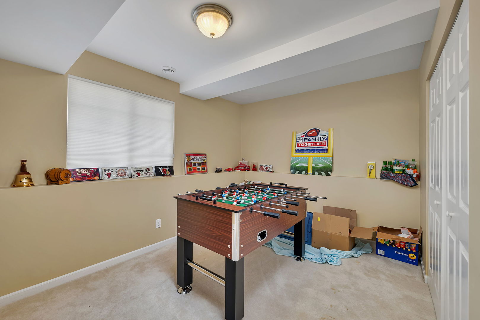 106 Harbor Landing Braidwood, IL 60408 - Photo 24 of 45