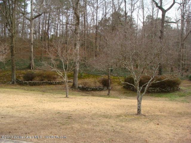1005 South Walston Bridge Road Jasper, AL 35501 - Photo 24 of 26 Gallery Image 24