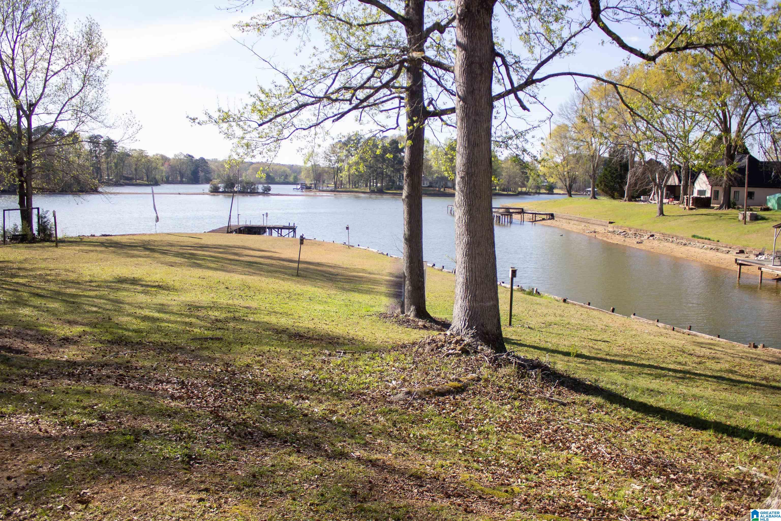 1470 Rabbit Branch Road Cropwell, AL 35054 - Photo 35 of 44