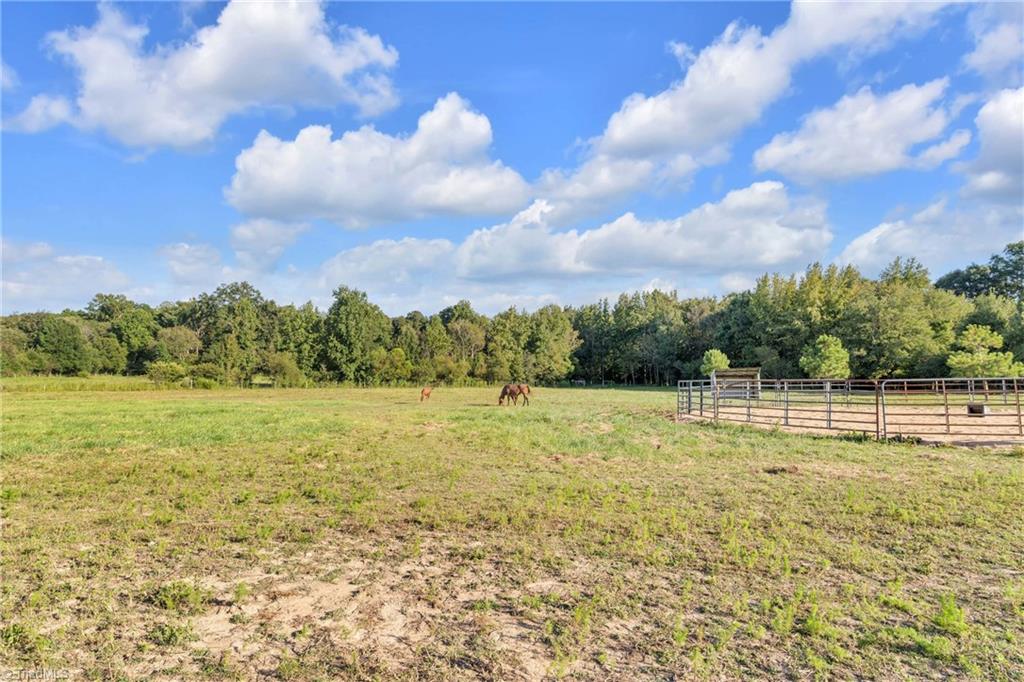 997 Yates Road Denton, NC 27239 - Photo 48 of 50 Gallery Image 48