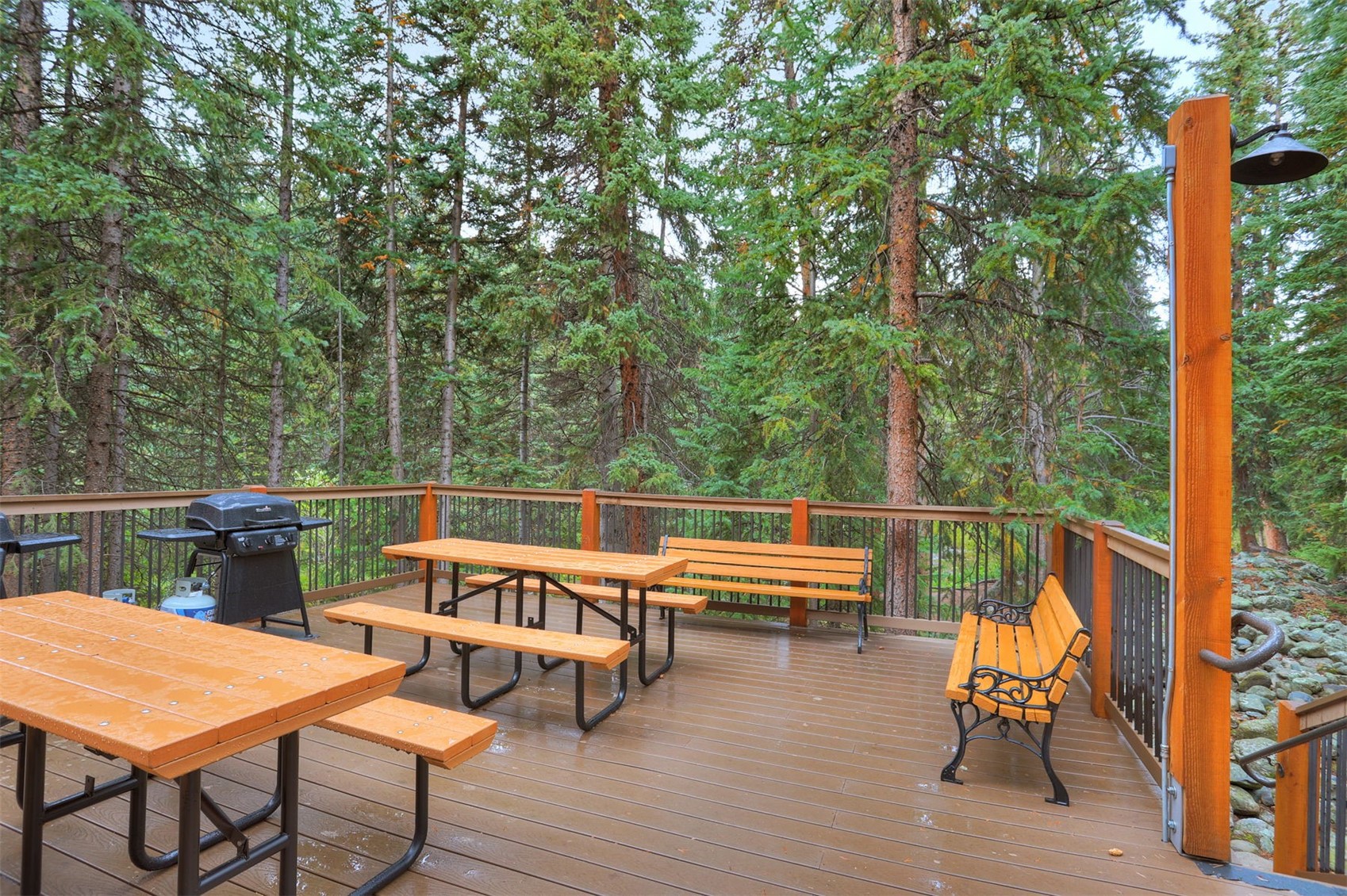 805 Columbine Road, Unit 102 Breckenridge, CO 80424 - Photo 24 of 35