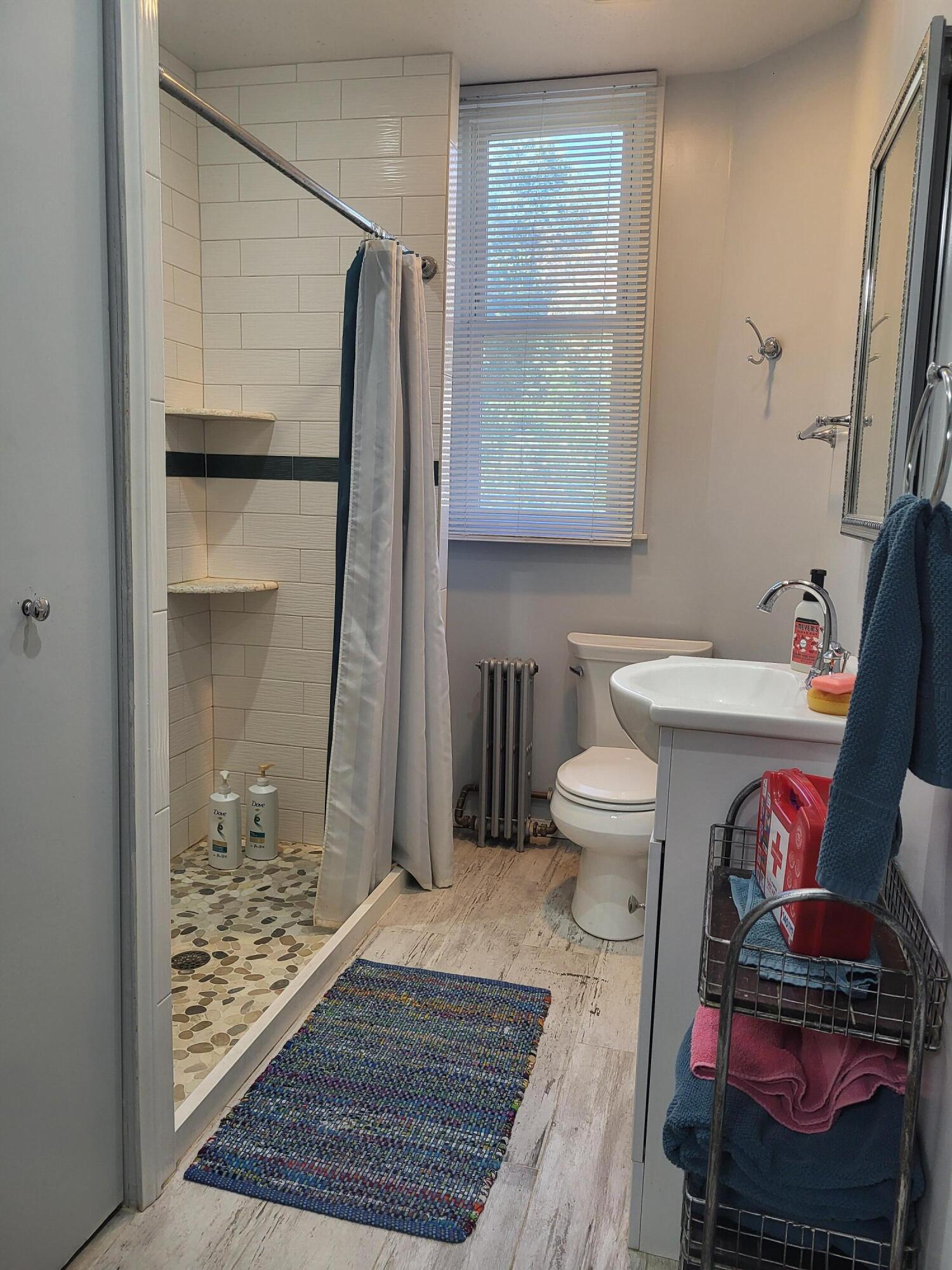 1455 Vinewood Street Detroit, MI 48216 - Photo 30 of 59 8 First Floor Bathroom