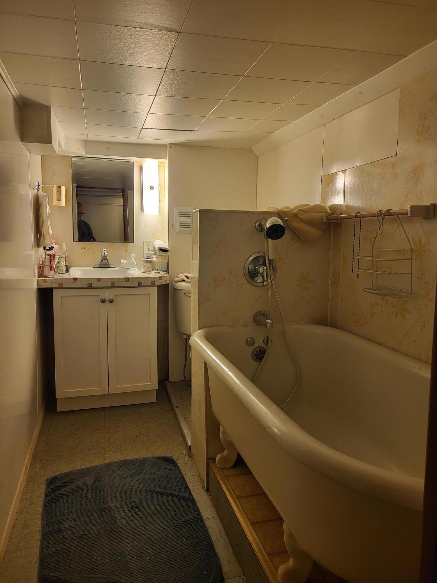 1455 Vinewood Street Detroit, MI 48216 - Photo 55 of 59 Basement Bathroom