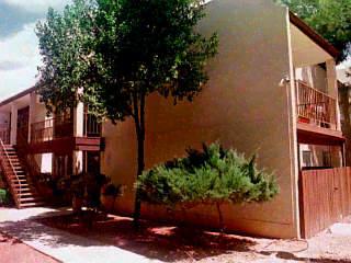 1600 North Wilmot Road, Unit 430 Tucson, AZ 85712 - Photo 1 of 1 a view of a street with potted plants and large trees