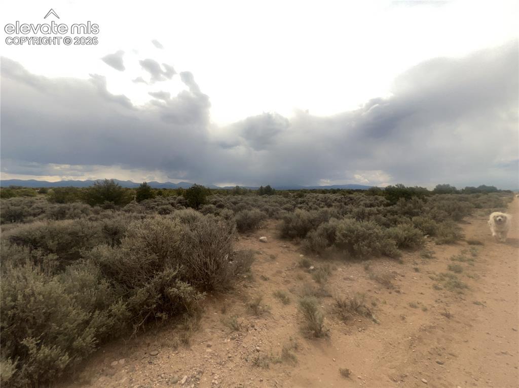 Lot 8 Melby Ranch Road San Luis, CO 81152 - Photo 10 of 20 Expansive open land featuring diverse shrubbery and a dirt path