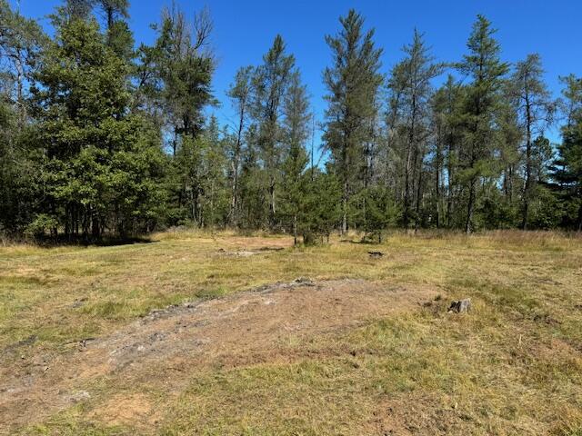 1844 East 10 Mile Road Irons, MI 49644 - Photo 13 of 13 Backyard