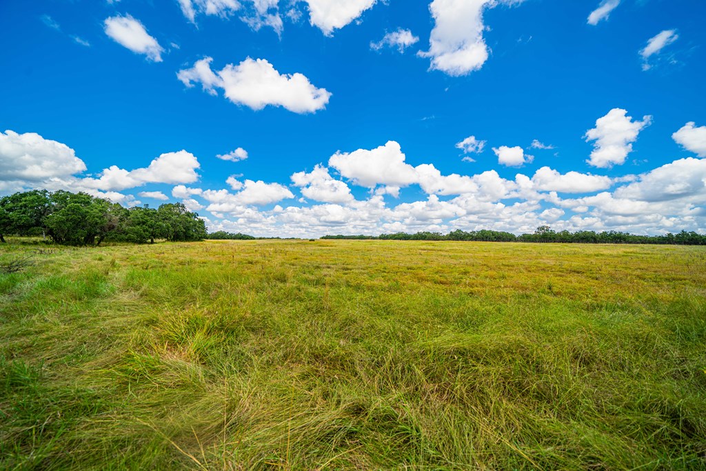 5 Blackjack Ranch Road, Unit 5 Harper, TX 78631 - Photo 2 of 9