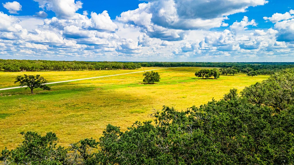 5 Blackjack Ranch Road, Unit 5 Harper, TX 78631 - Photo 5 of 9