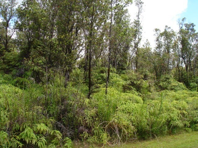 59 Kaleponi Road Pahoa, HI 96778 - Photo 1 of 3 Gallery Image 1