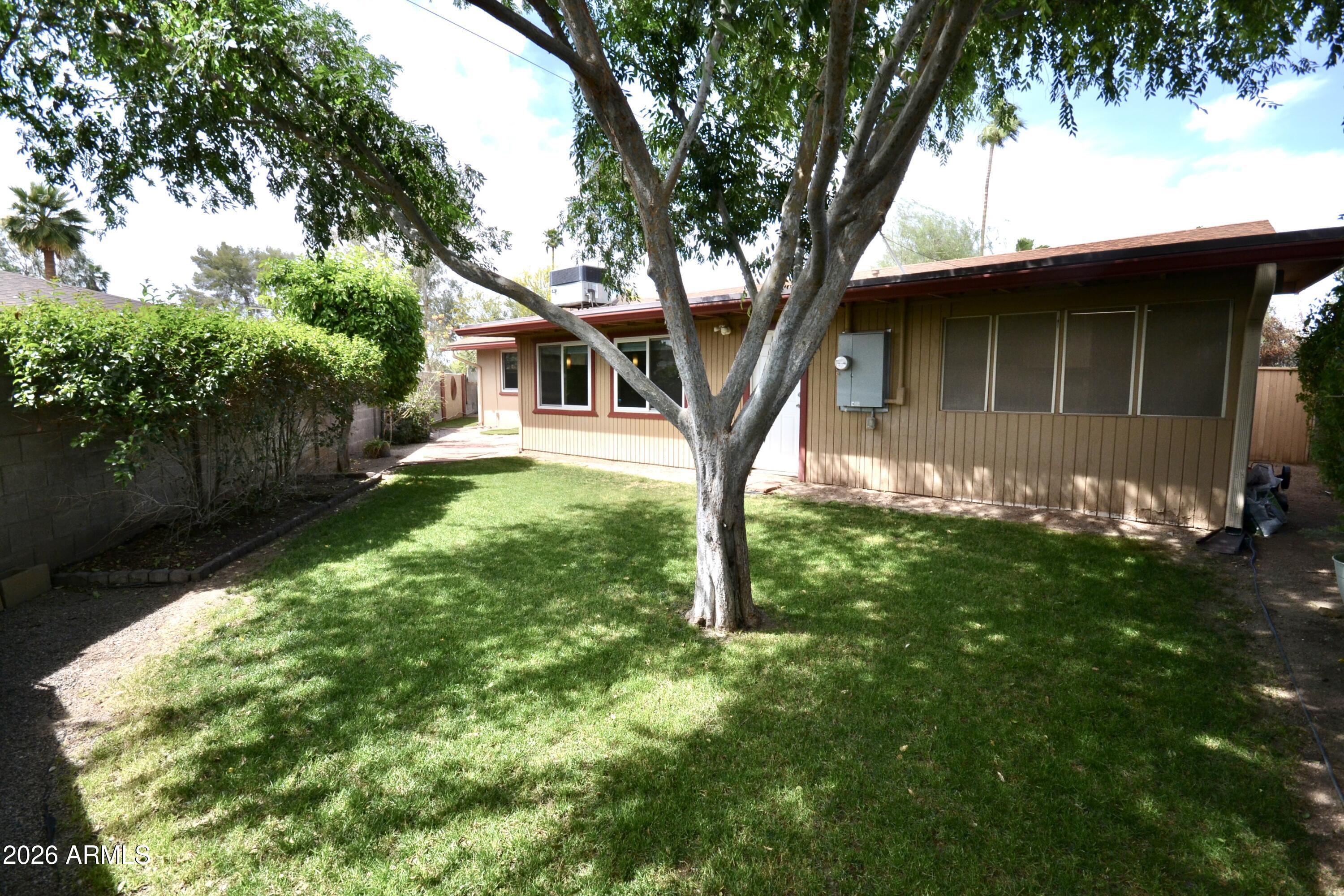 1215 West Colter Street Phoenix, AZ 85013 - Photo 37 of 42 Backyard